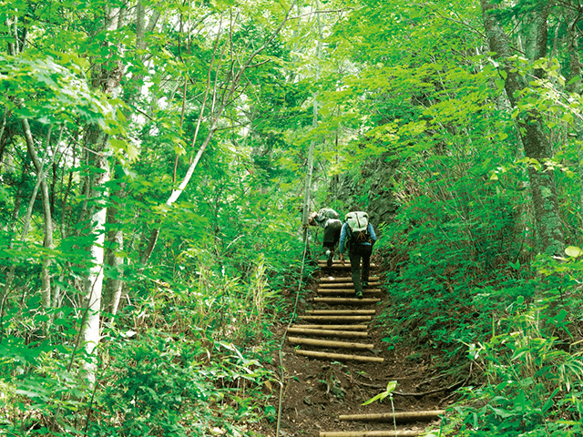 札幌岳・八剣山(軽登山)